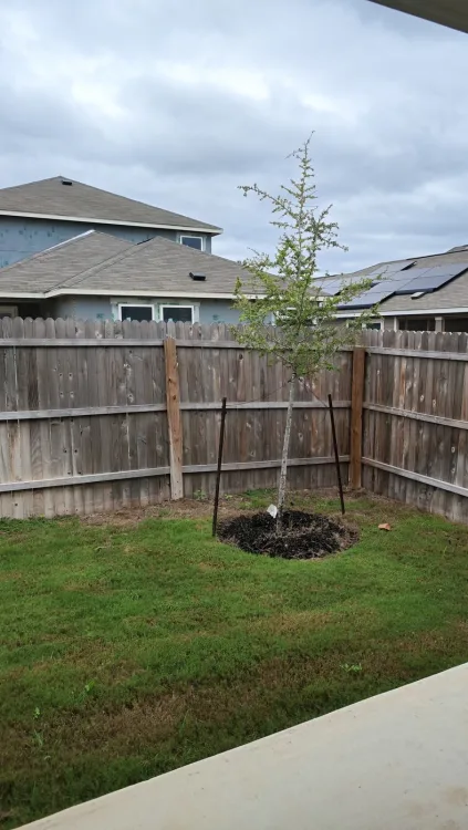 Garage, porch and yard of a new-build home.