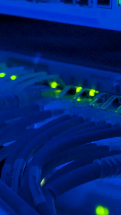 Blue network cables and status lights in a server rack.